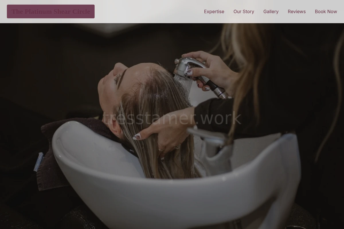 portfolio Hair Salon